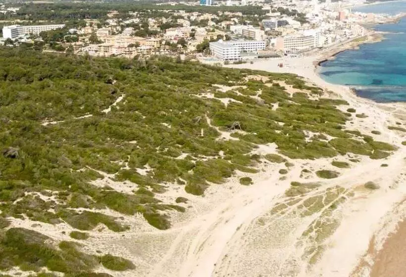 Fotos del hotel Son Bauló:  23