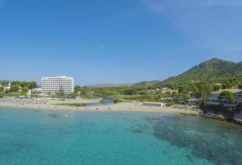 Fotos del hotel Universal  Castell Royal:  20