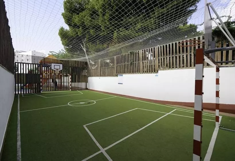 Fotos del hotel Aluasun Torrenova:  24