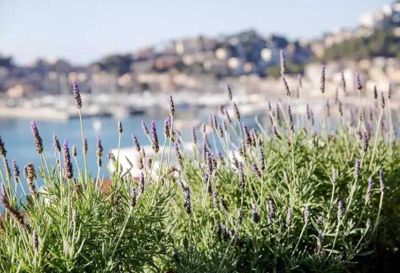 Fotos del hotel Esplendido:  12