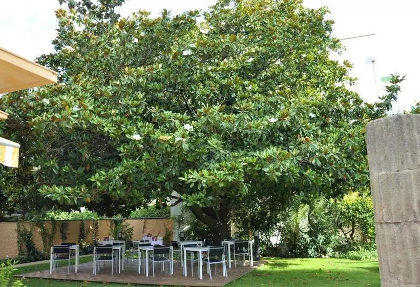 Fotos del hotel Sorrabona:  21