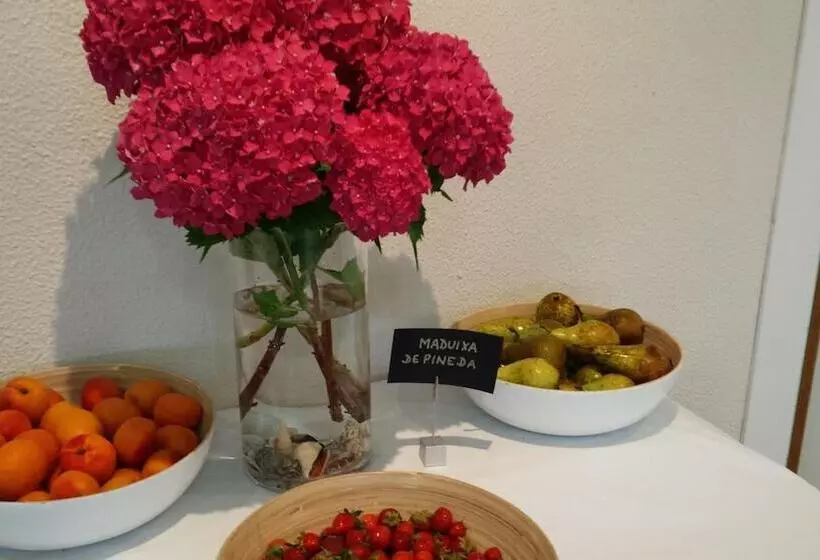 Fotos del hotel Sorrabona:  16