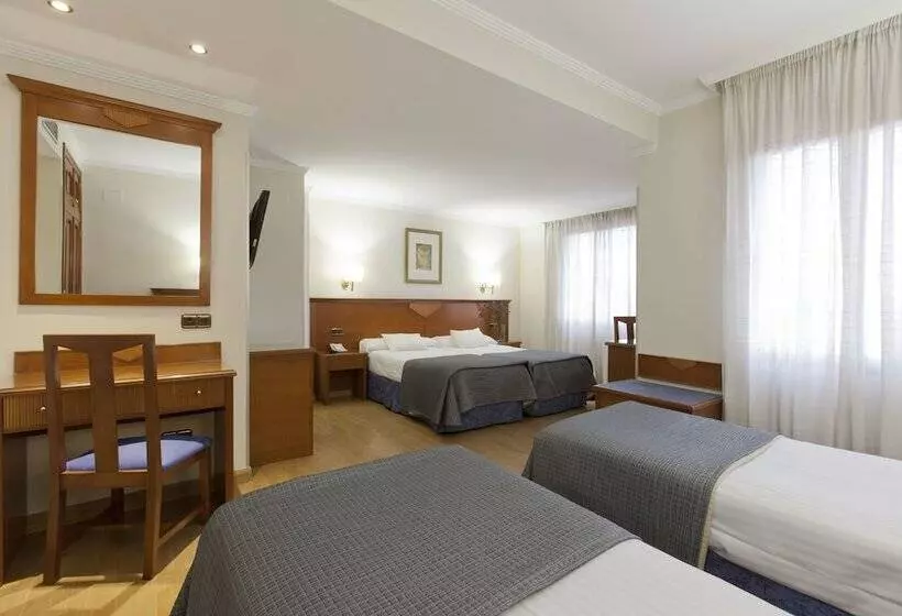 Fotos del hotel Porcel Alixares:  17