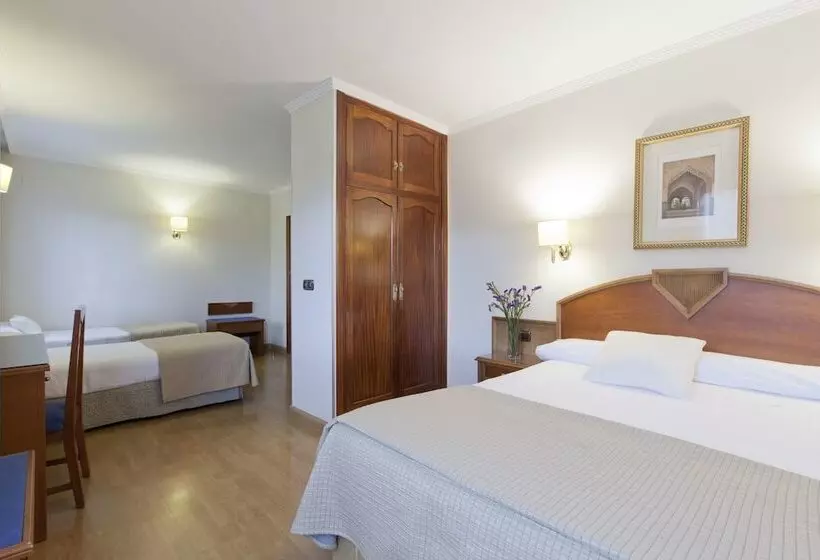 Fotos del hotel Porcel Alixares:  21