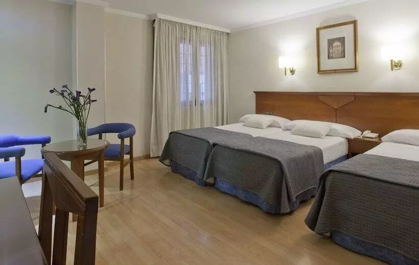 Fotos del hotel Porcel Alixares:  16
