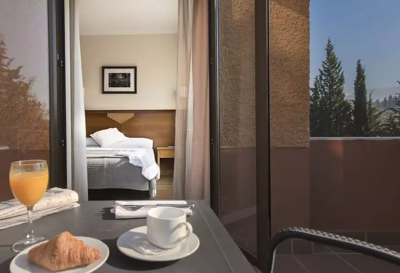 Fotos del hotel Porcel Alixares:  24