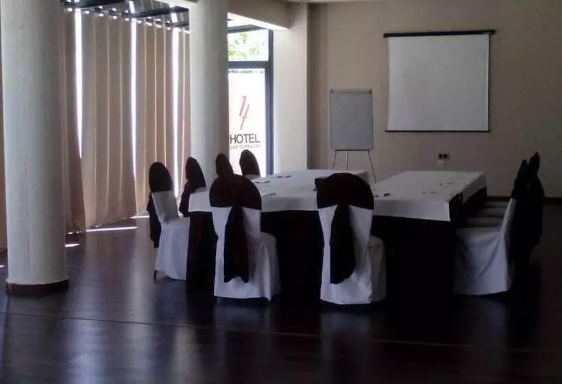 Fotos del hotel Las Terrazas & Suite:  6