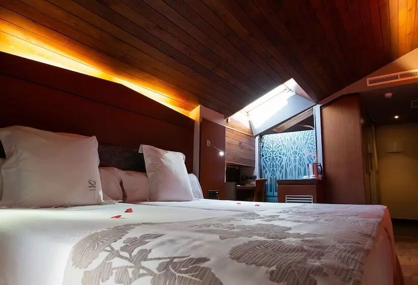 Fotos del hotel Sancho Abarca:  16