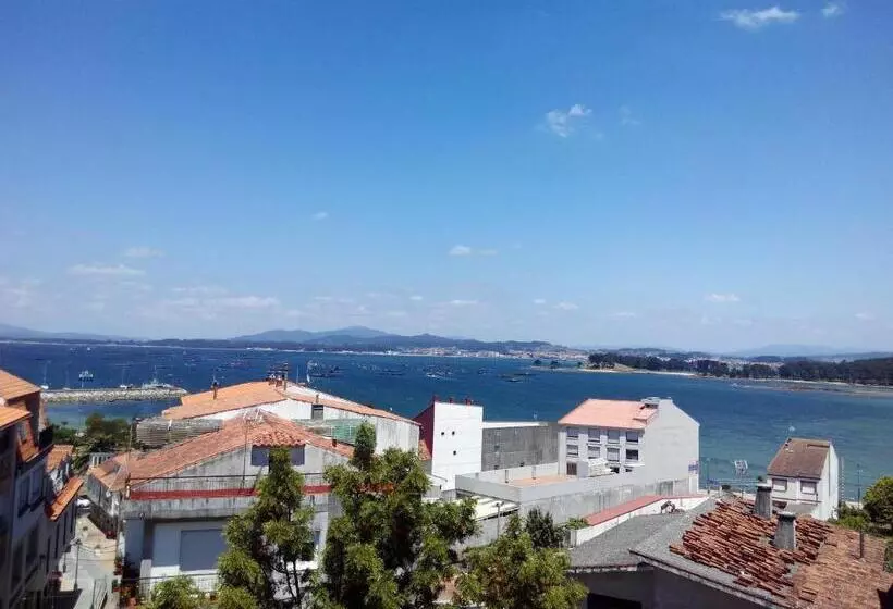 Fotos del hotel Amandi:  6