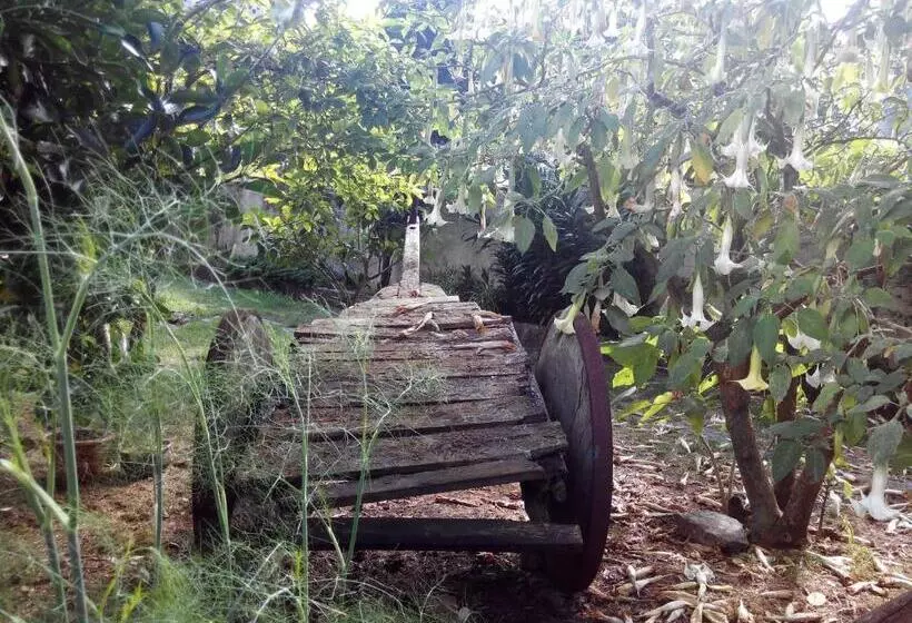 Fotos del hotel Amandi:  5