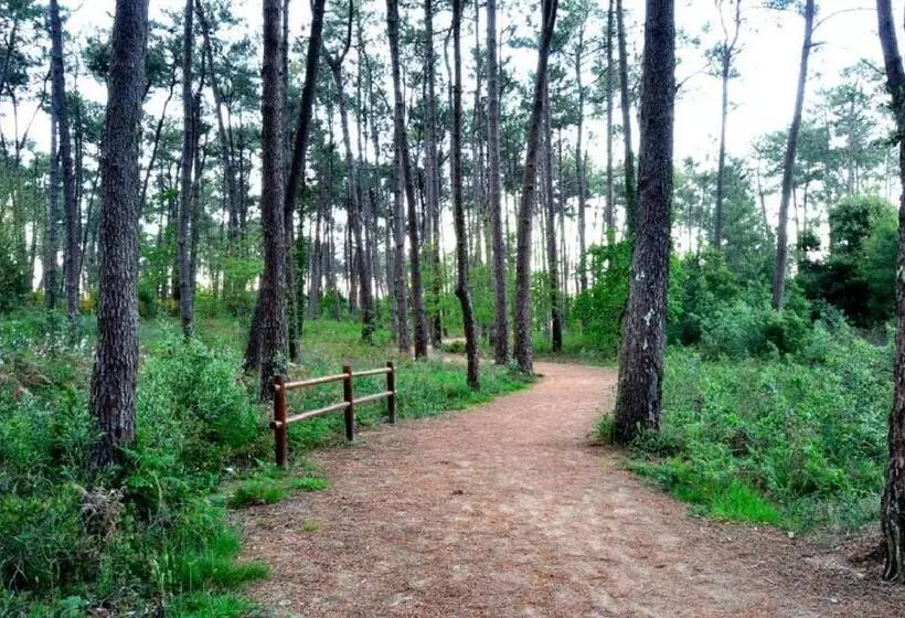 Fotos del hotel Amandi:  11