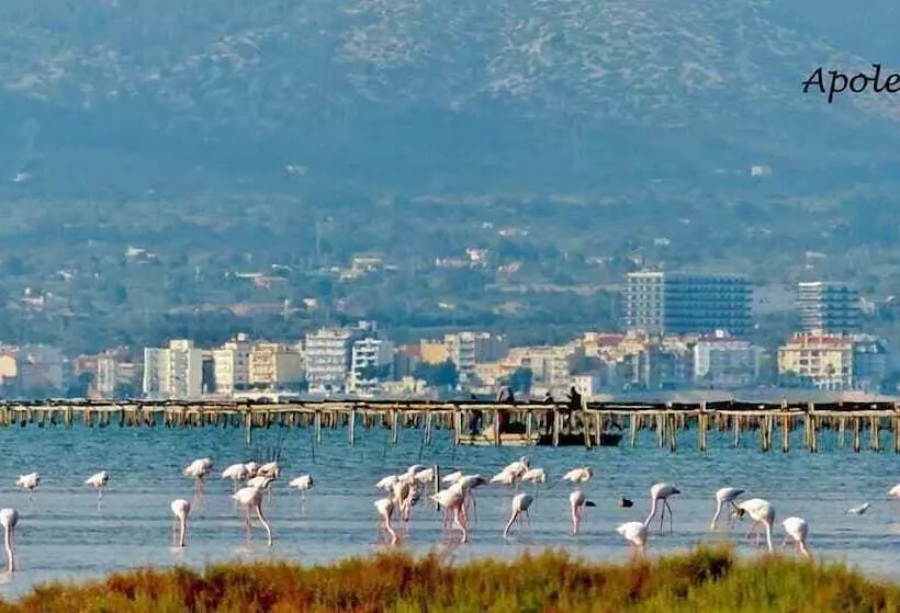 Fotos del hotel Delta:  9