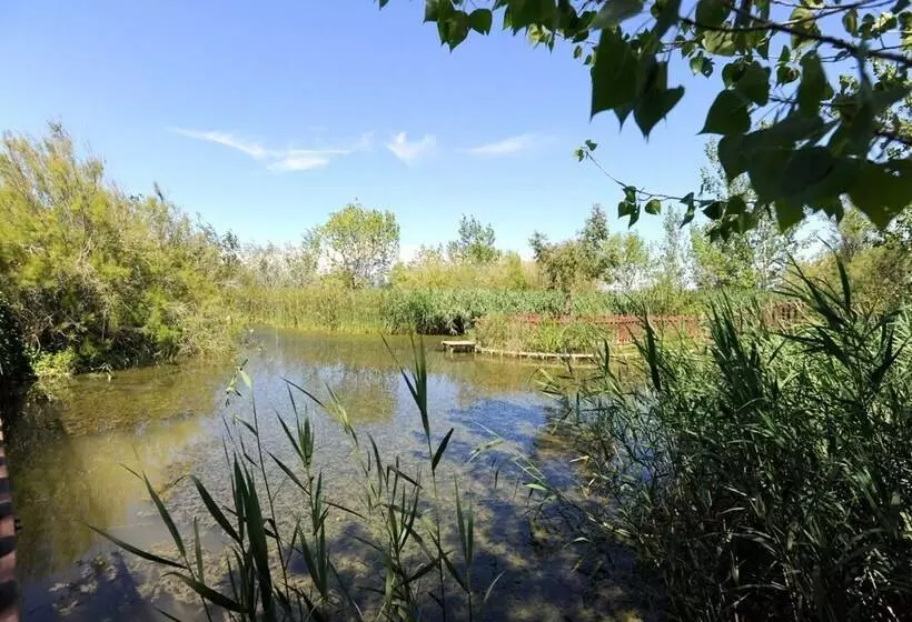 Fotos del hotel Delta:  15