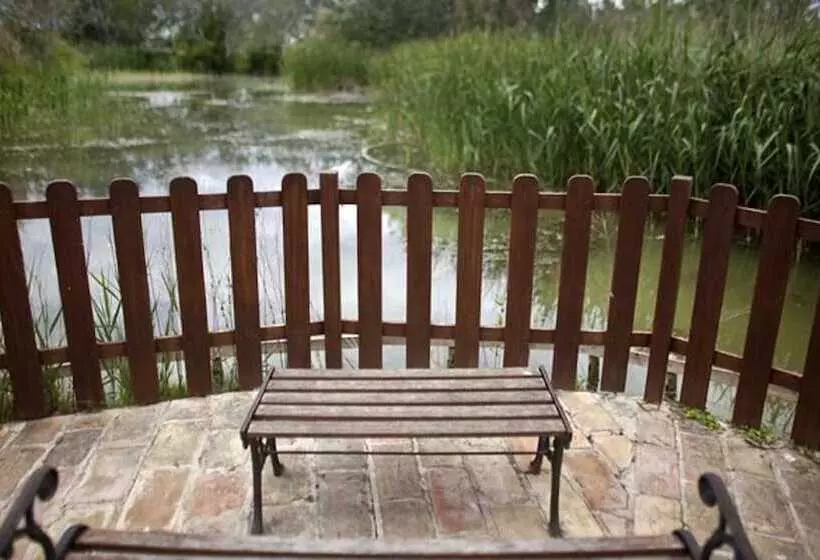 Fotos del hotel Delta:  8