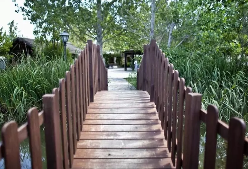 Fotos del hotel Delta:  12