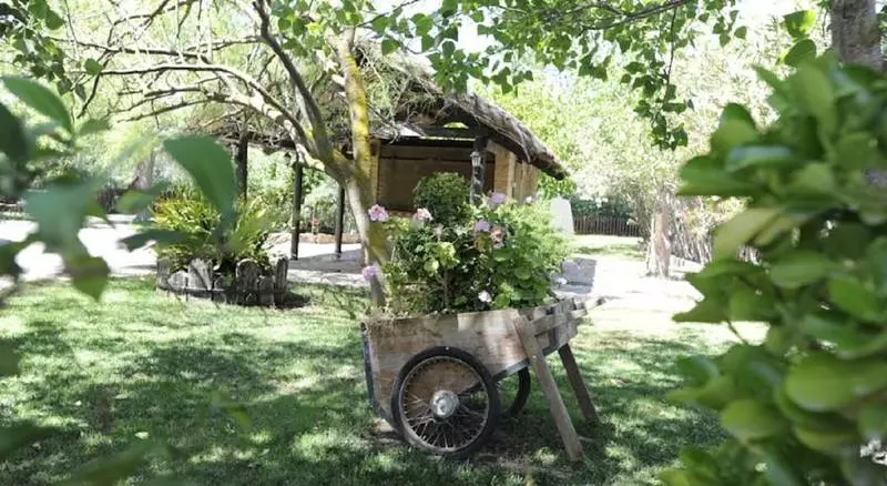 Fotos del hotel Delta:  14