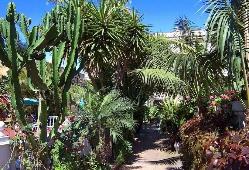 Fotos del hotel Don Manolito:  22