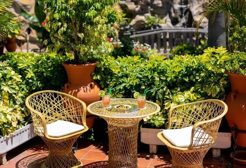 Fotos del hotel Don Manolito:  8