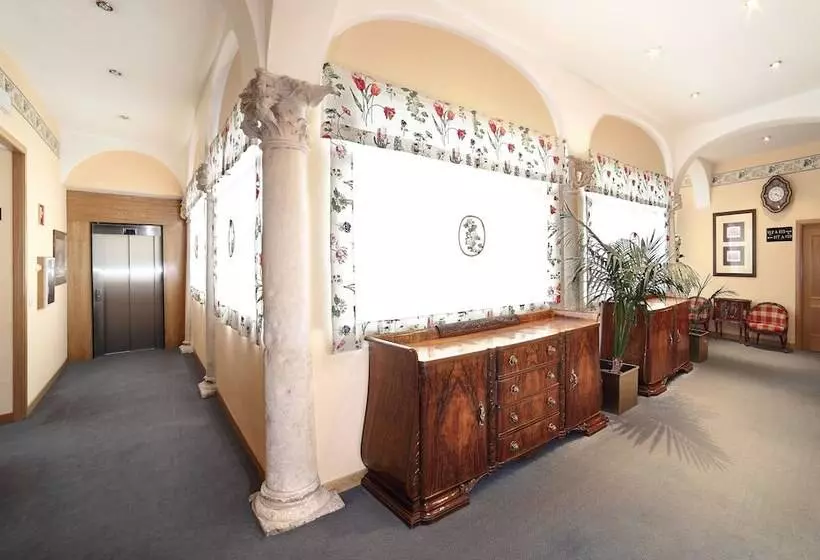 Fotos del hotel Zenit Imperial:  9