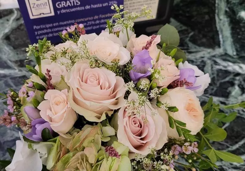 Fotos del hotel Zenit Imperial:  12