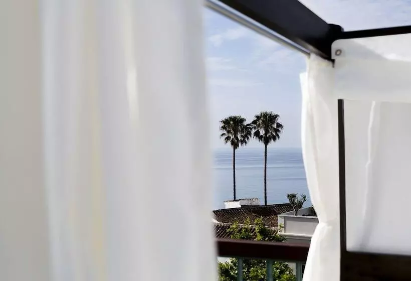 Fotos del hotel Plaza Cavana:  21