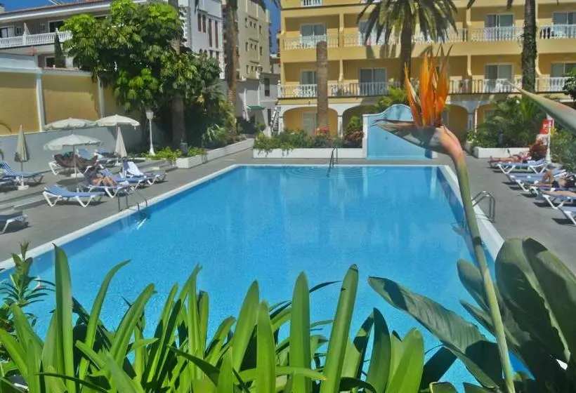 Fotos del hotel Rf San Borondon:  9