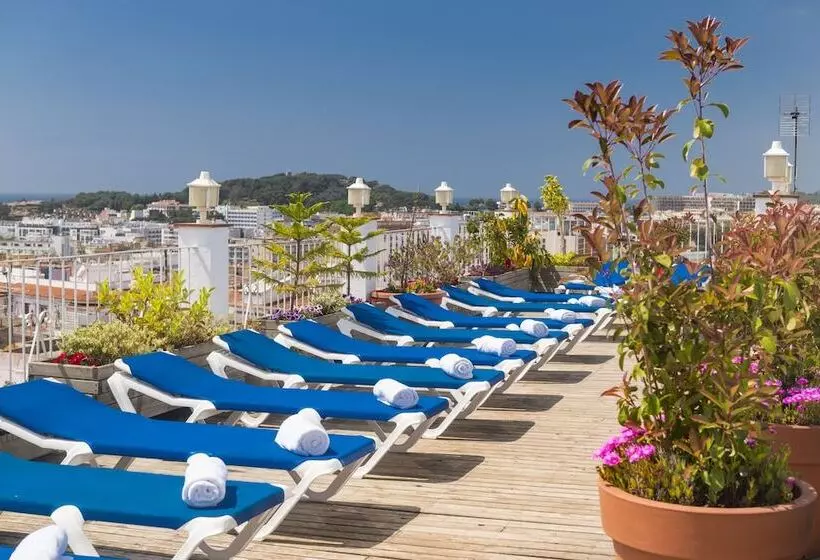 Fotos del hotel Ridomar:  7