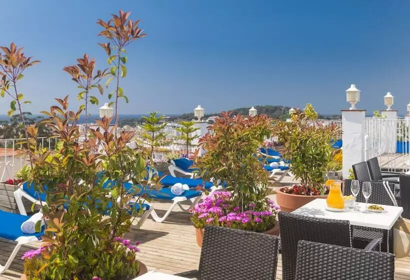 Fotos del hotel Ridomar:  13