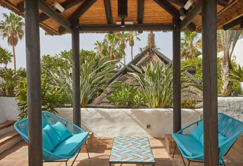 Fotos del hotel Dreams Jardin Tropical Resort & Spa:  22