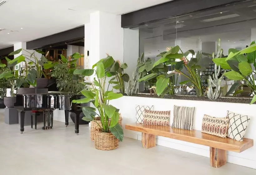 Fotos del hotel Dreams Jardin Tropical Resort & Spa:  23