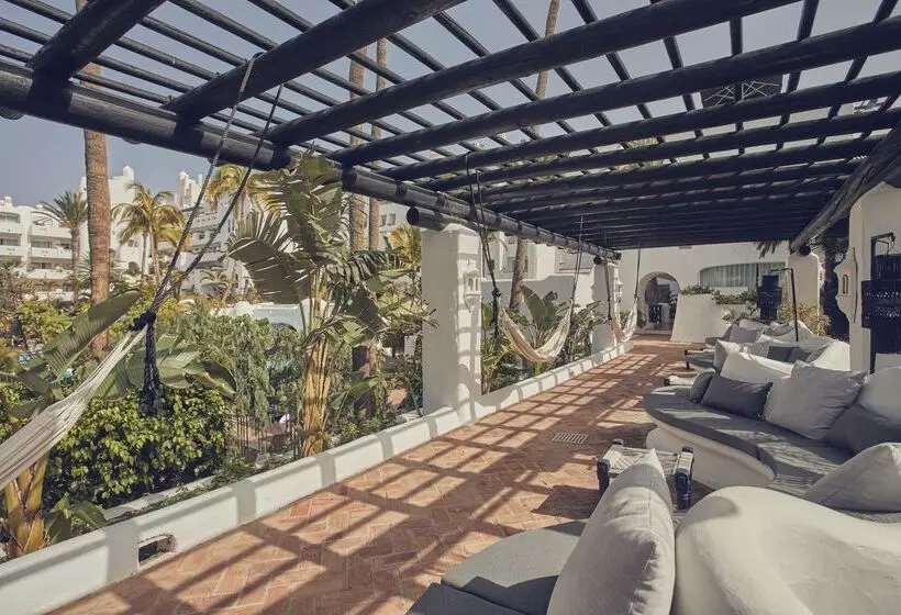 Fotos del hotel Dreams Jardin Tropical Resort & Spa:  7