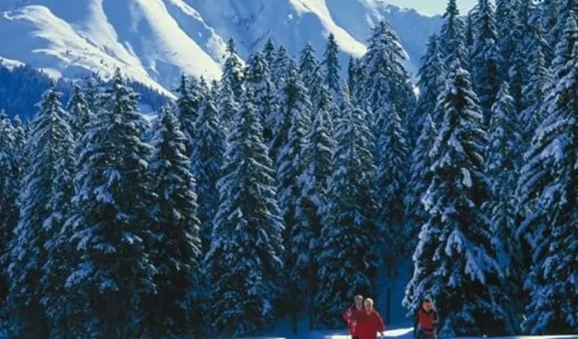 Fotos del hotel Das Kaltschmid - Familotel Tirol:  10