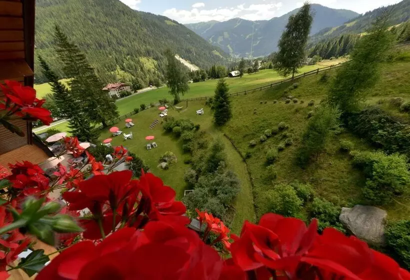 Fotos del hotel St. Oswald:  19