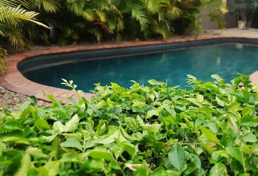 Fotos del hotel Quality Inn Airport Heritage:  13