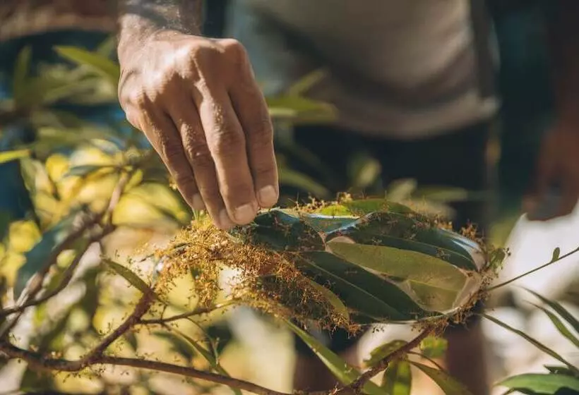 Fotos del hotel Shangri-la The Marina, Cairns:  7