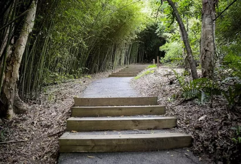 Fotos del hotel Shangri-la The Marina, Cairns:  11