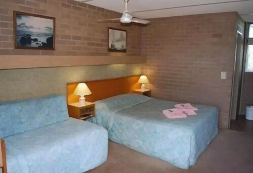 Fotos del hotel Town Centre Motor Inn:  14