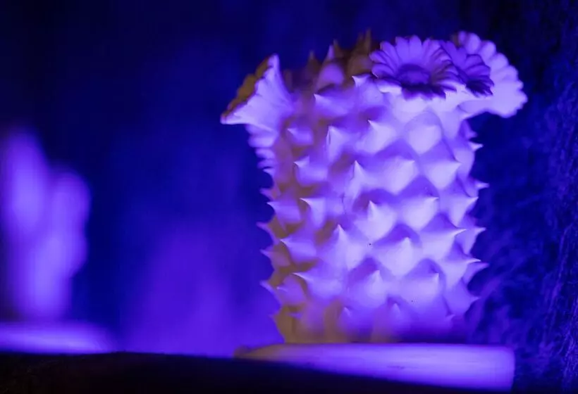 Fotos del hotel Pentahotel Liège:  17