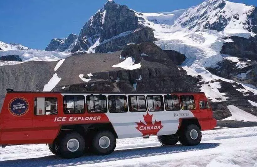 Fotos del hotel Bow View Lodge:  3