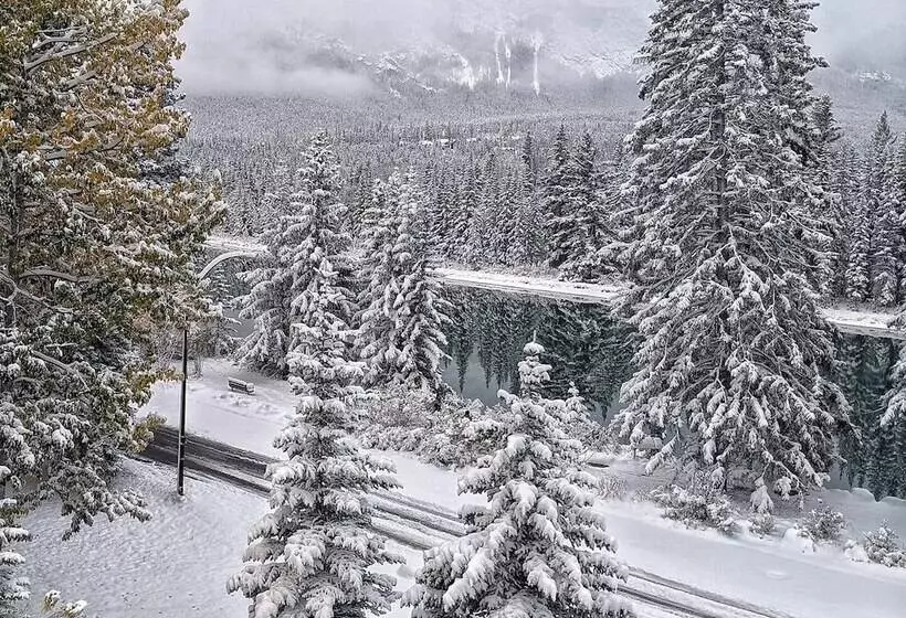 Fotos del hotel Bow View Lodge:  10