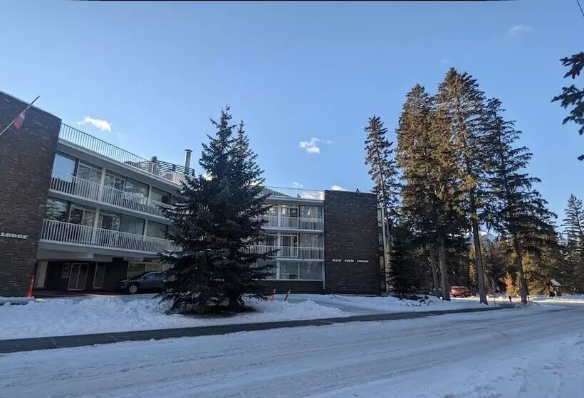 Fotos del hotel Bow View Lodge:  15