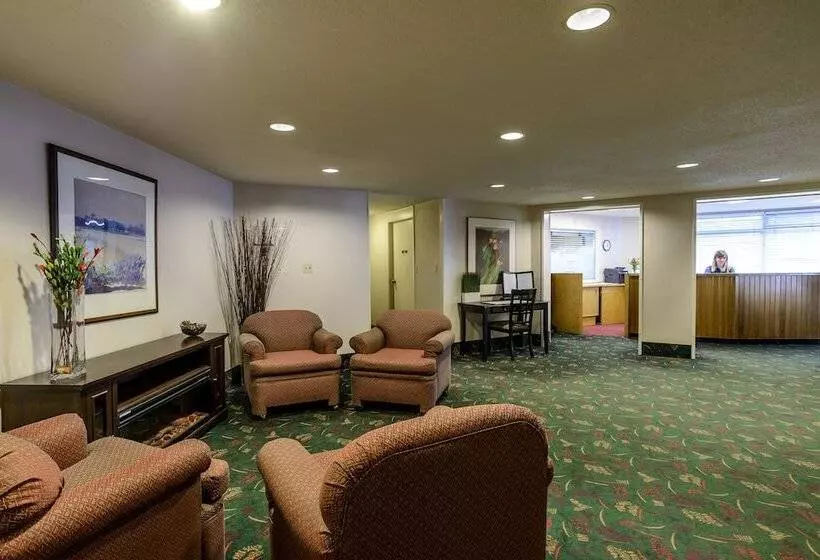 Fotos del hotel Bow View Lodge:  2