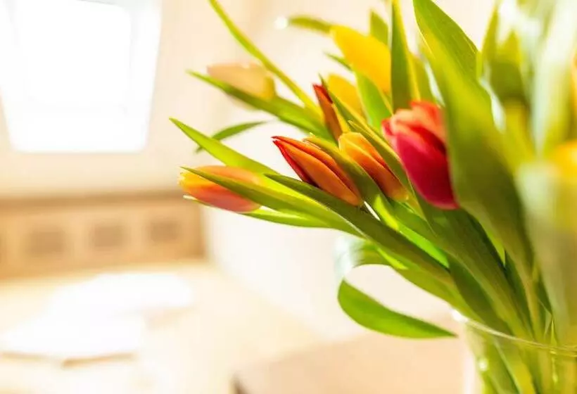 Fotos del hotel Budget  Alexander:  7