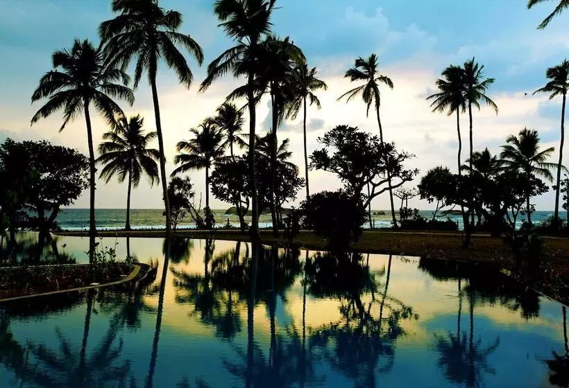 Fotos del hotel Hikka Tranz By Cinnamon:  20