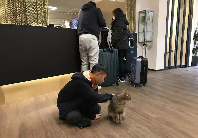 Fotos del hotel Jardin Bern:  19