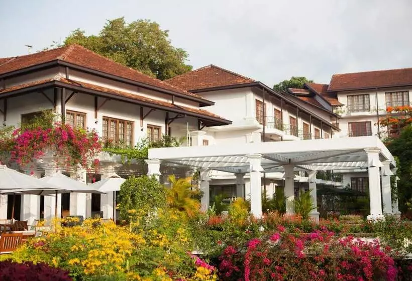 Fotos del hotel Mahaweli Reach:  21