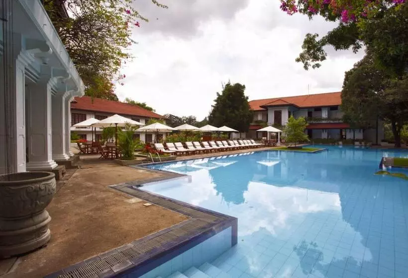 Fotos del hotel Mahaweli Reach:  9