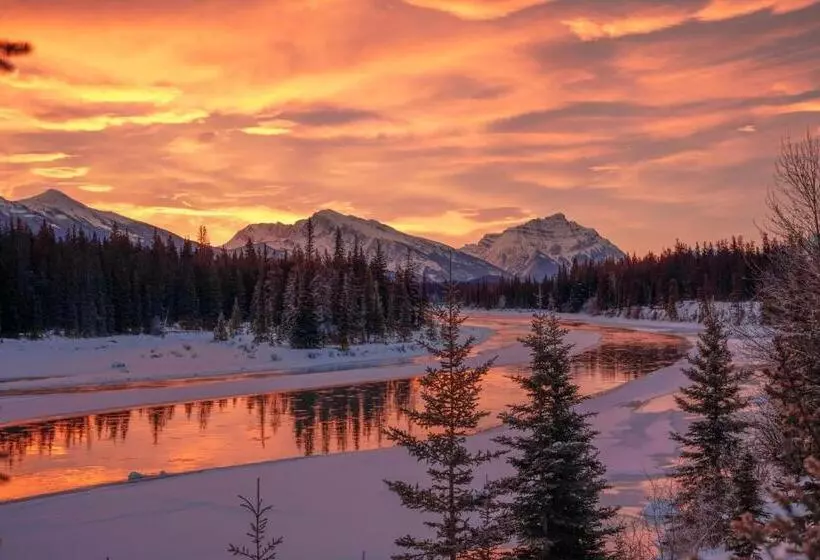 Fotos del hotel Mount Robson Inn:  6