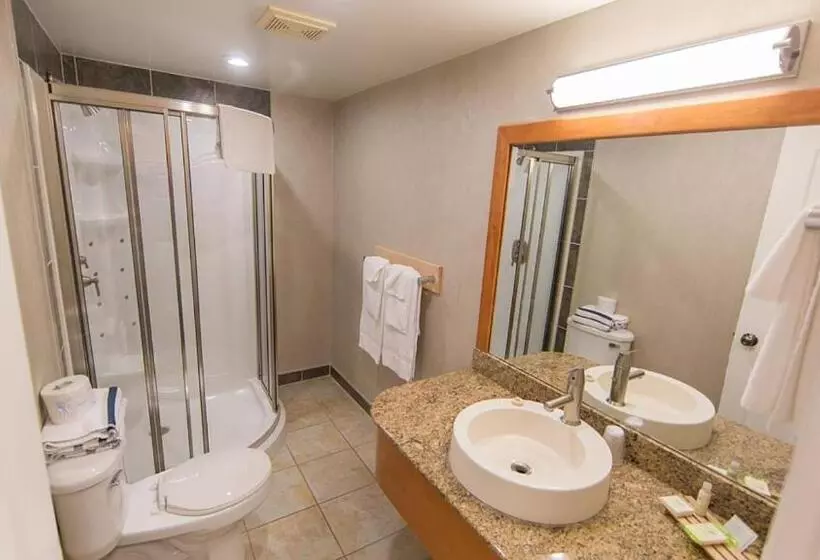 Fotos del hotel Mount Robson Inn:  5