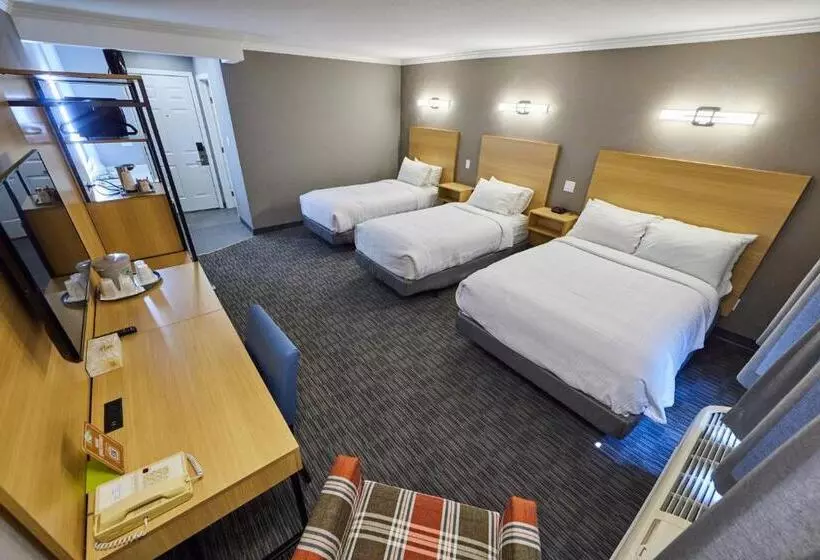 Fotos del hotel Mount Robson Inn:  19